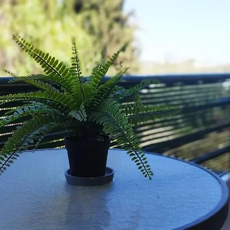 Апартаменты Sweet Amoreira Алвор