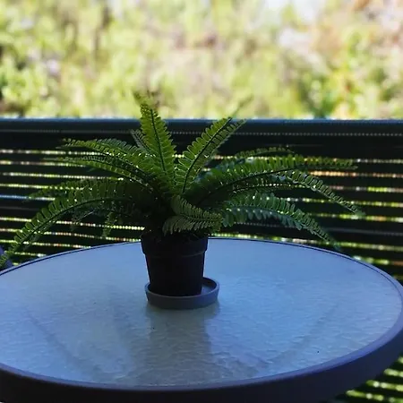 Sweet Amoreira Alvor