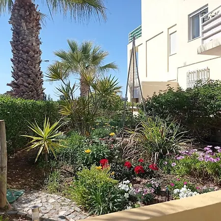 Sweet Amoreira Apartment